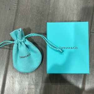 Tiffany Small Accessory Box and Duster